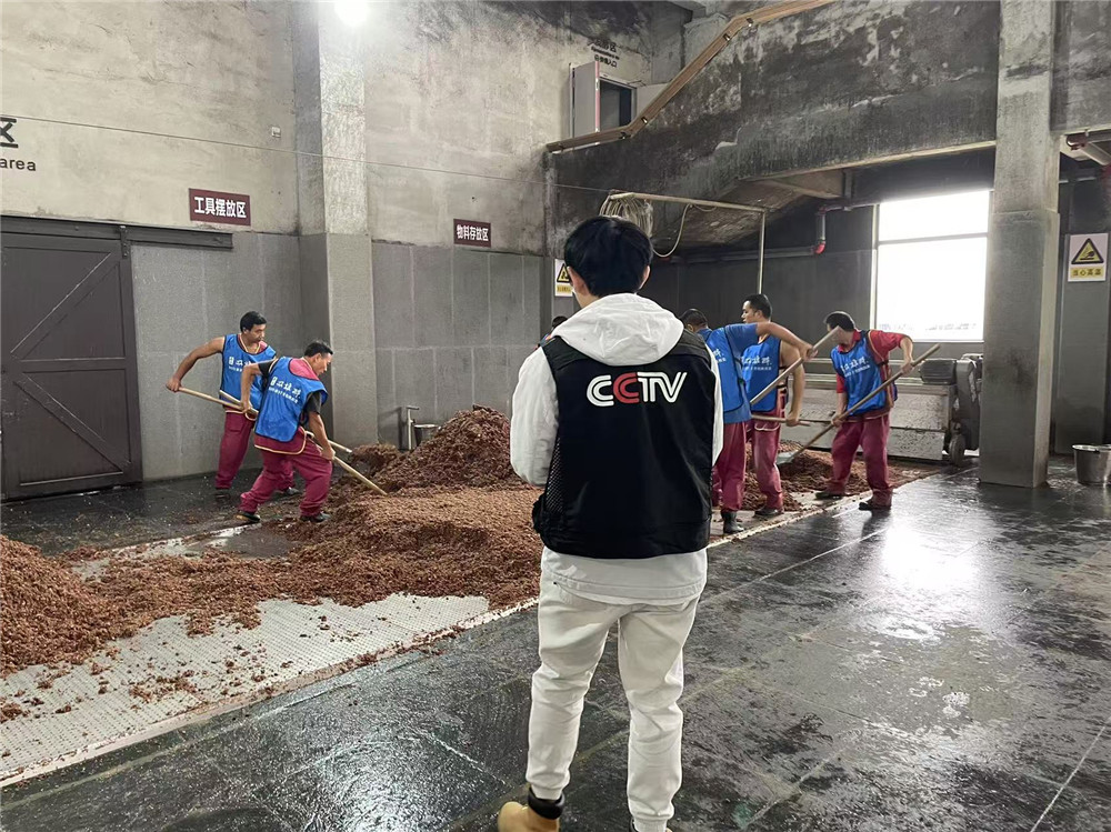 CCTV《品牌之路》优品开箱选题组顺利完成石花双雄醉素材拍摄